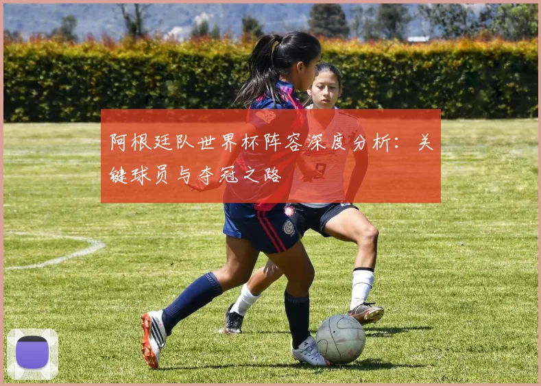 阿根廷队世界杯阵容深度分析：关键球员与夺冠之路